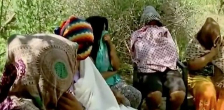 La CIDH determinó que es falsa la denuncia sobre embarazadas que se escondían en el monte de Formosa