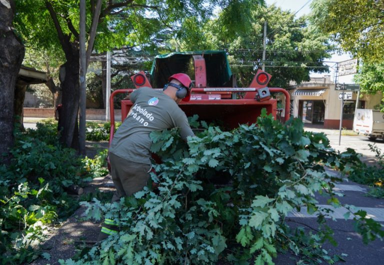 Más de 4 mil vecinos de Vicente López fueron atendidos en el marco del Plan de Poda 2021