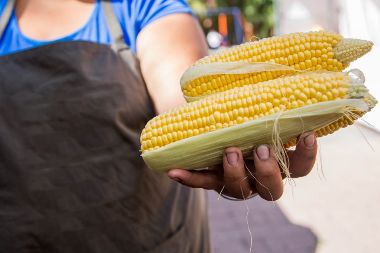 Feria Agroecológica en Berazategui