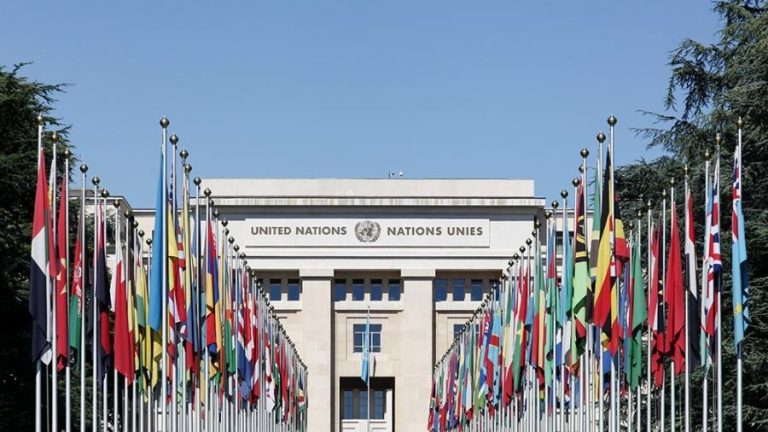 Argentina presidirá el Consejo de Derechos Humanos en la ONU