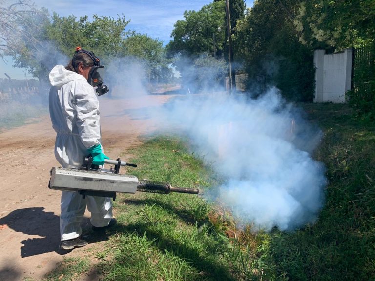 Intensifican la campaña para prevenir el dengue en Brown