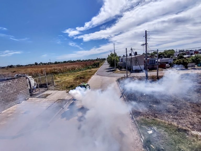 Fumigaciones en Esteban Echeverría