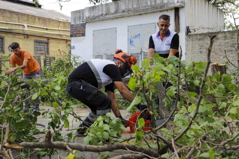 Jornada intensa del programa Quilmes Limpio