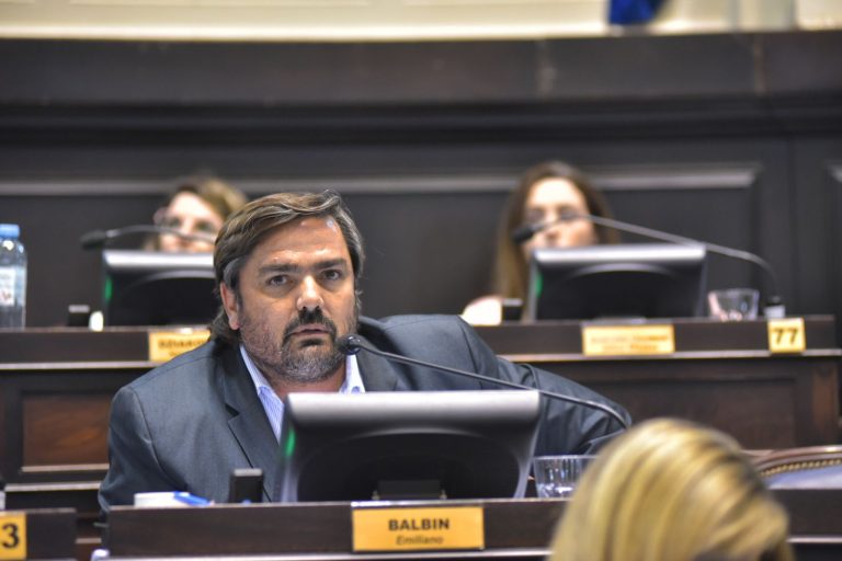 Balbín pide en la Legislatura que se eliminen las intervenciones al mercado del trigo