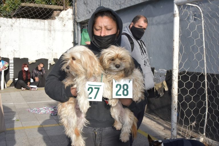 Se realizó una nueva jornada de castraciones gratuitas en Merlo