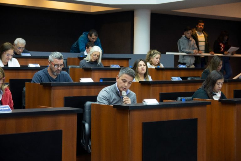 El Concejo Deliberante de Ezeiza aprobó proyectos a favor del cuidado de mujeres y niños