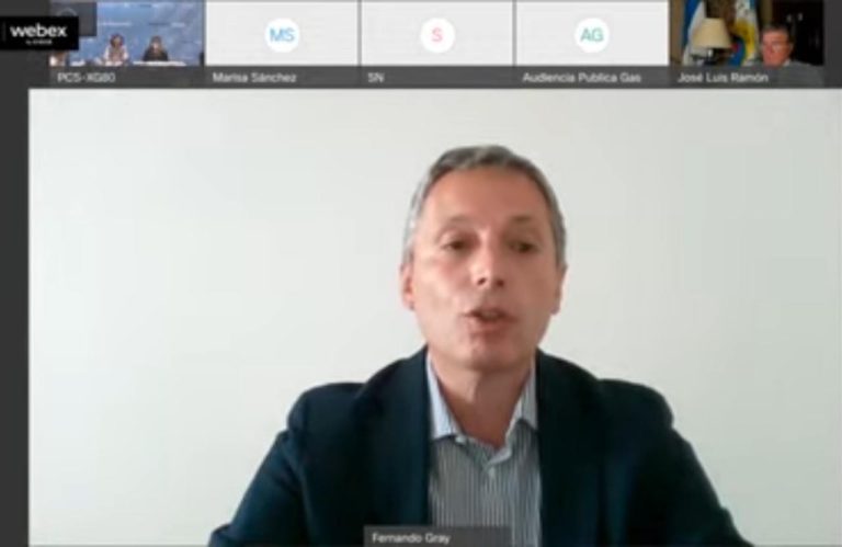 Gray, en la audiencia pública: “No es momento oportuno para más aumentos en las tarifas”