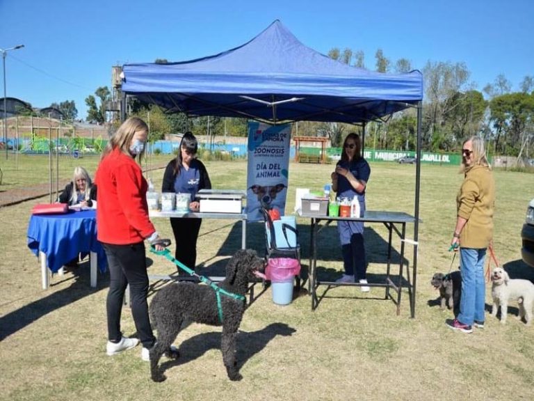 El Hospital de Mascotas de Lomas de Zamora ya atendió a más de 86 mil mascotas