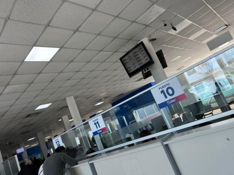 En 2022, se realizaron más de 32 mil trámites de licencias de conducir en Lomas de Zamora