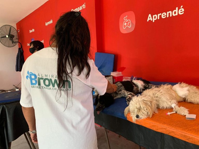 Operativo de zoonosis en Almirante Brown