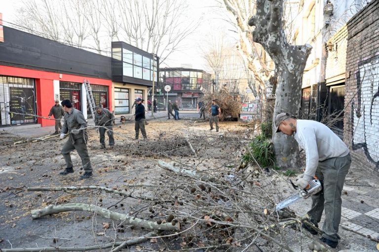 Trabajos de poda en el centro de Monte Grande