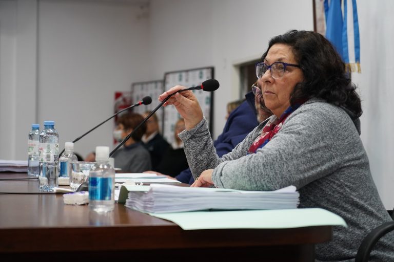 El Concejo Deliberante de Merlo aprobó acciones para avanzar en el cuidado del medio ambiente