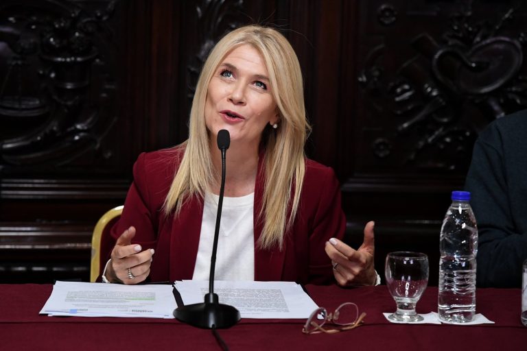 Magario abrió jornada sobre Accesibilidad y Salud Mental Comunitaria en el Senado