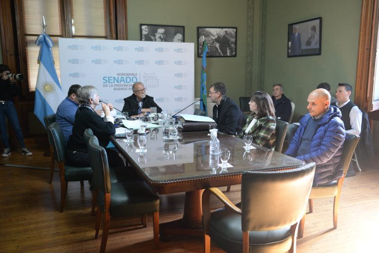 El Senado recibió a los gestores por el proyecto de ley del sector