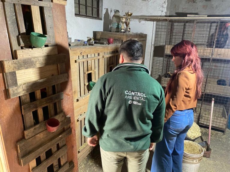 Desbaratan banda que hacía riñas de gallo en Ituzaingó