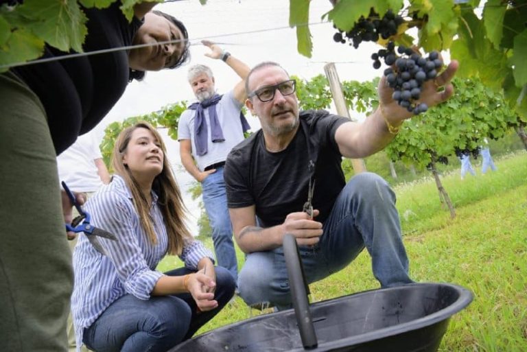 Tiene media sanción el proyecto de Ley Vino Buenos Aires