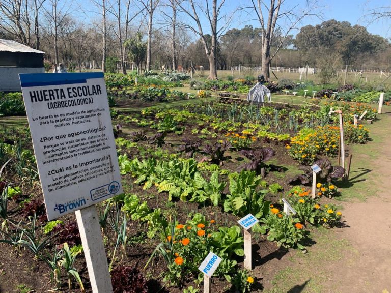 Consolidan la Huerta Ecológica en Ministro Rivadavia