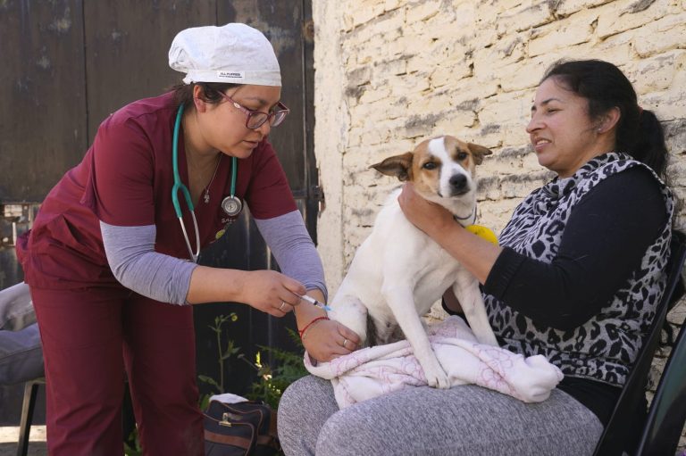 Jornada de vacunación a mascotas en Monte Grande