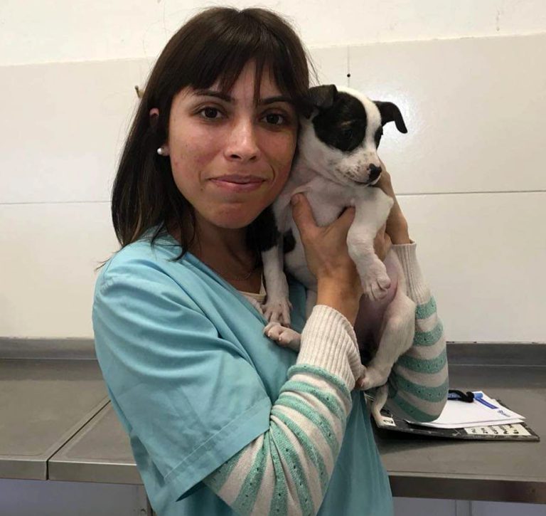 Convocan a veterinarios en Almirante Brown