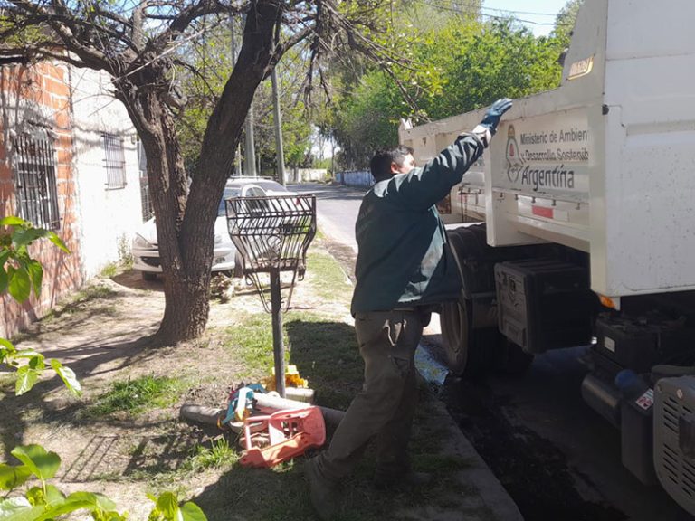Jornada de limpieza en La Rotonda