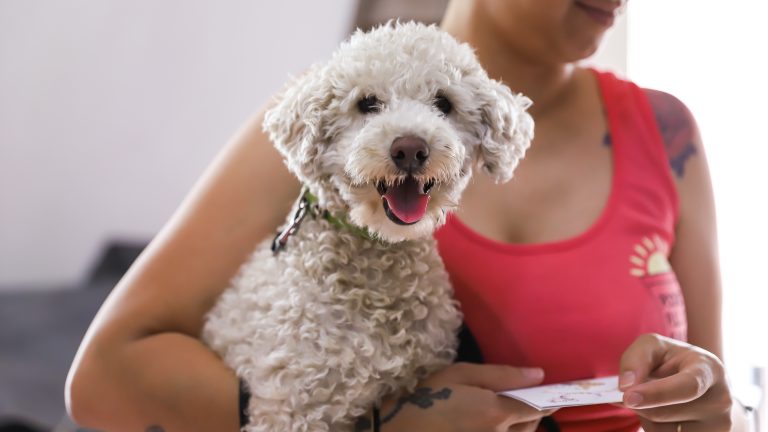 Jornada de vacunación a mascotas en Villa Adelina