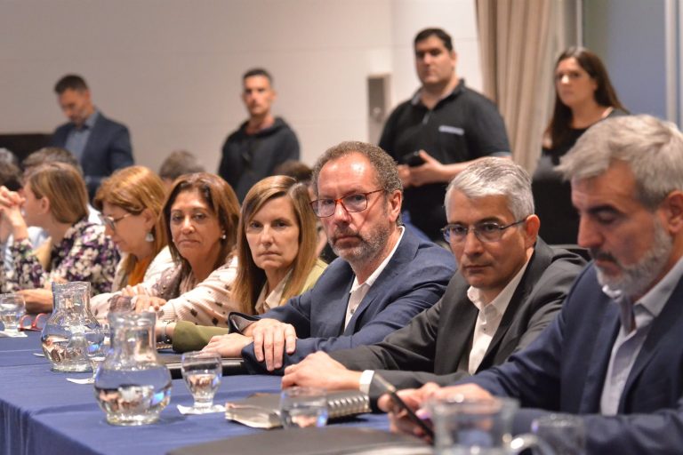 Girard brindó detalles sobre el Presupuesto ante legisladores