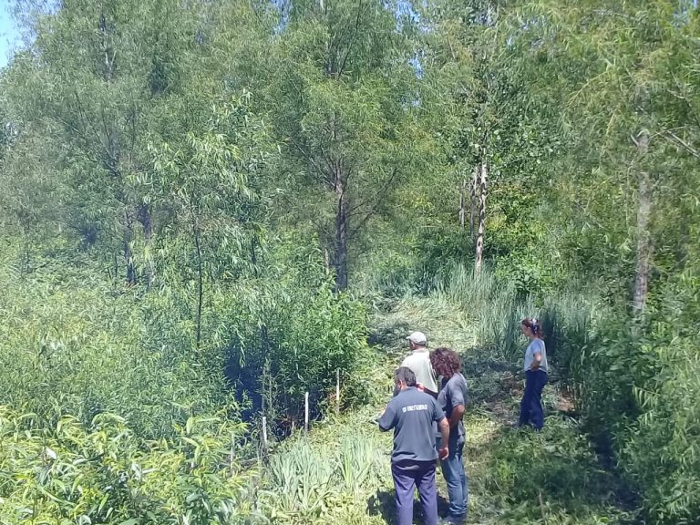 Realizaron una inspección fitosanitaria a viveros forestales de islas del Delta del Paraná