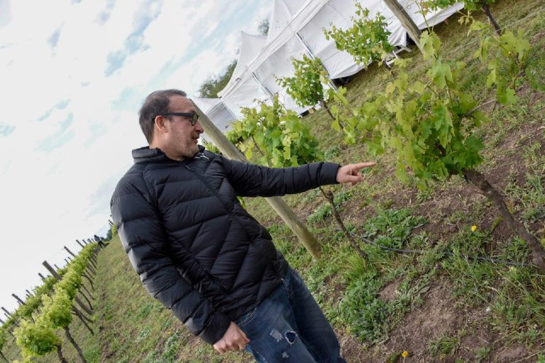 Se aprobó “Vino Buenos Aires”, la ley impulsada por Vivona