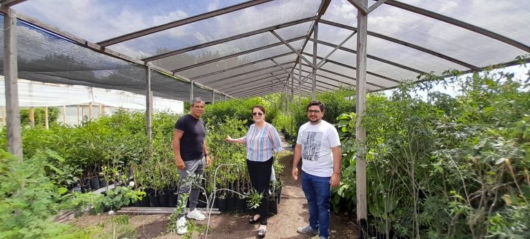 Utilizan el Vivero Municipal para forestar plazas en Presidente Perón
