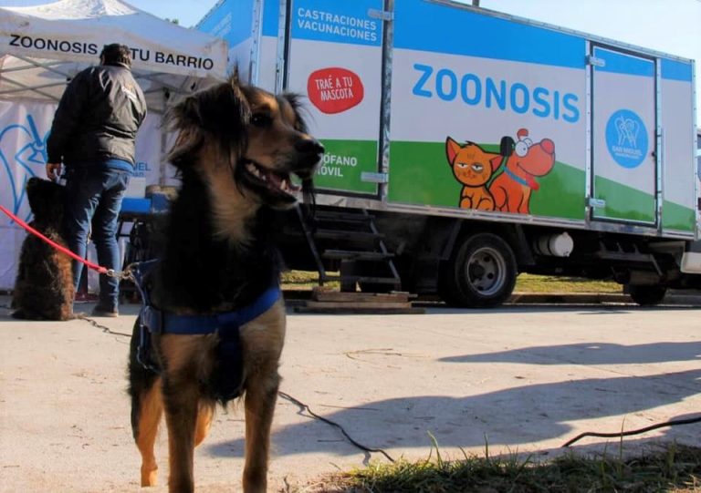 Operativos de zoonosis en los barrios de San Miguel