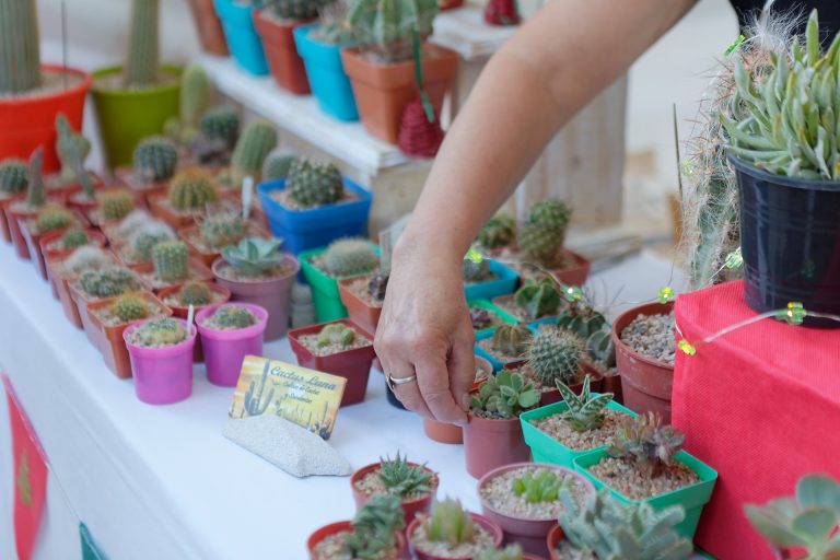 Feria Emprender en Berazategui