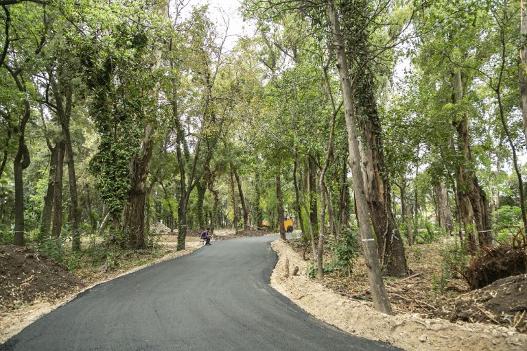 Construyen Parque Saludable en Brown