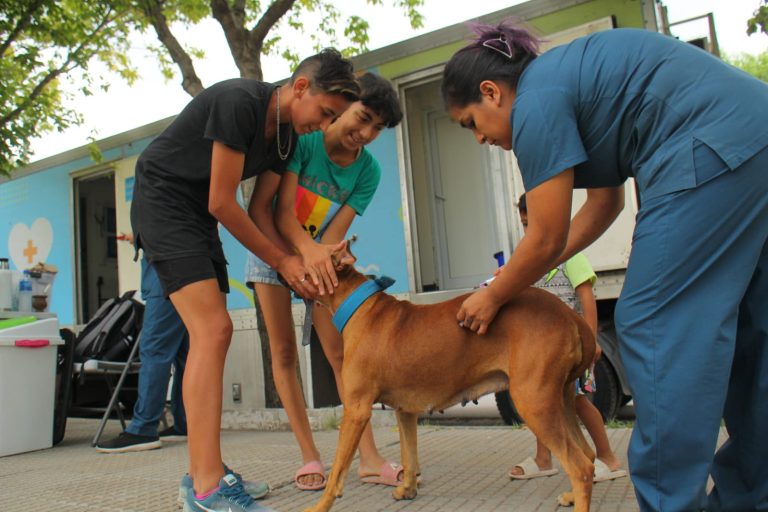 Vacunación antirrábica para mascotas de 9 de Abril