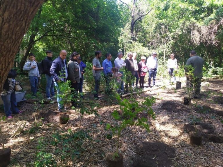 Plantaron árboles por la Memoria en Lomas