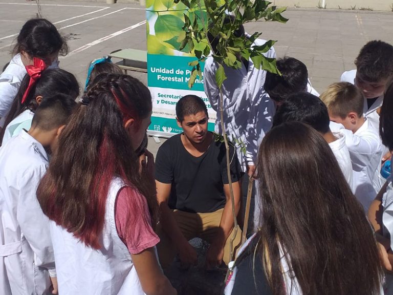 Plantaron árboles en escuela de El Rocío