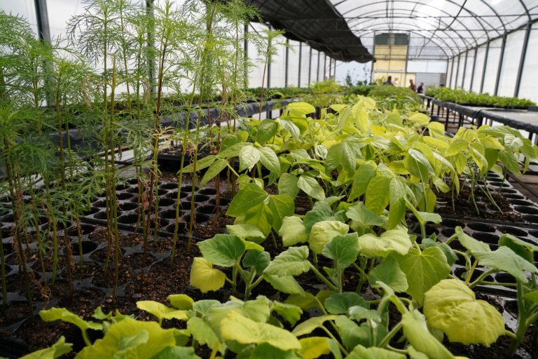 Docentes de Ituzaingó ya pueden inscribirse al curso de Promotor Escolar en Agroecología