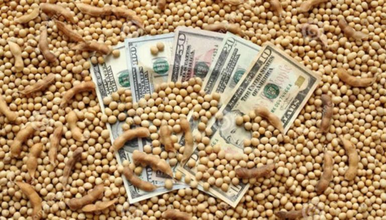 El Gobierno formalizó el inicio de la nueva edición del dólar soja