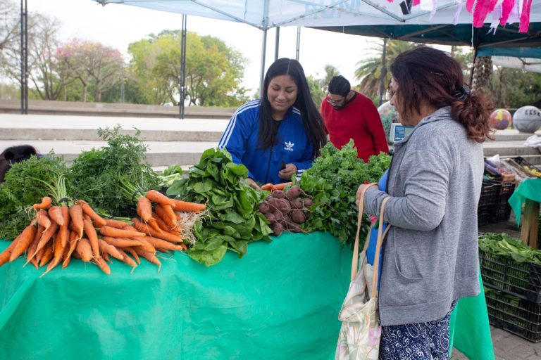 Berazategui impulsa producción hortícola