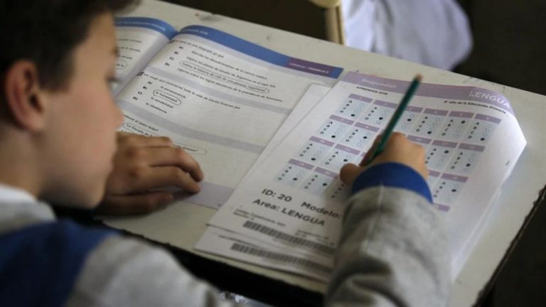 El 40% de los chicos revirtió las malas calificaciones en lengua en las Pruebas Aprender 2022
