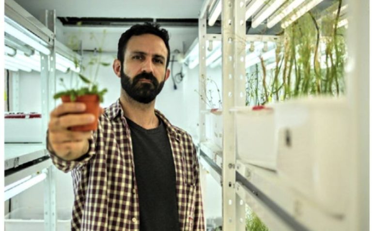 La Unesco premió a un científico argentino por un trabajo sobre genética en plantas