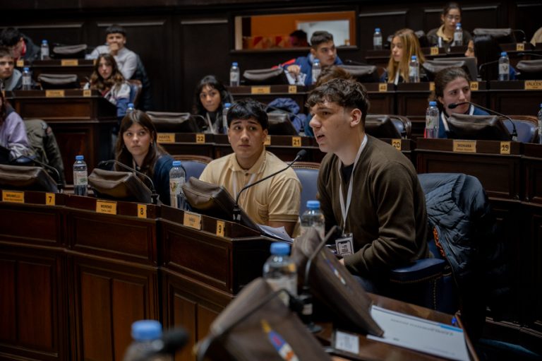 Estudiantes de Lanús formaron parte del Parlamento Joven
