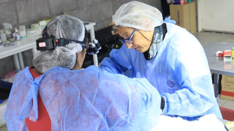 Operativos de atención veterinaria en Lanús
