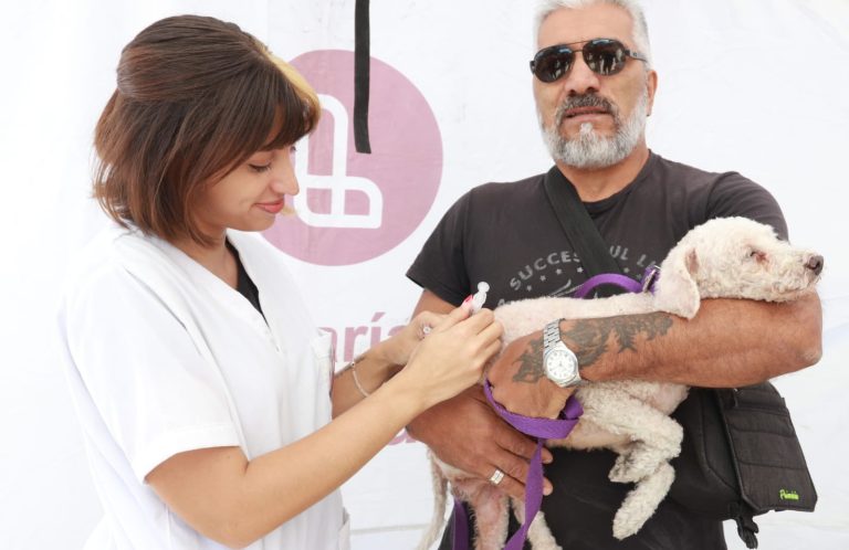Operativos de vacunación y castración en todo Lanús