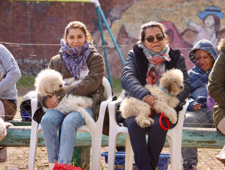 Continúan los operativos de castración de zoonosis en San Miguel