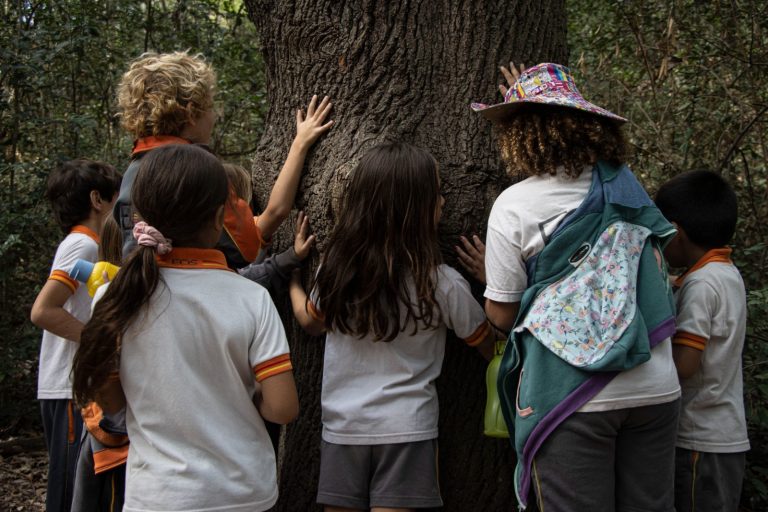 Más de 7 mil niños disfrutaron de salidas educativas en la Reserva Municipal “Los Robles”