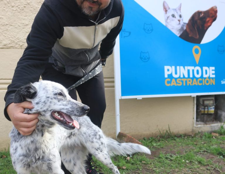 Lanús suma puntos de castración y veterinaria móvil