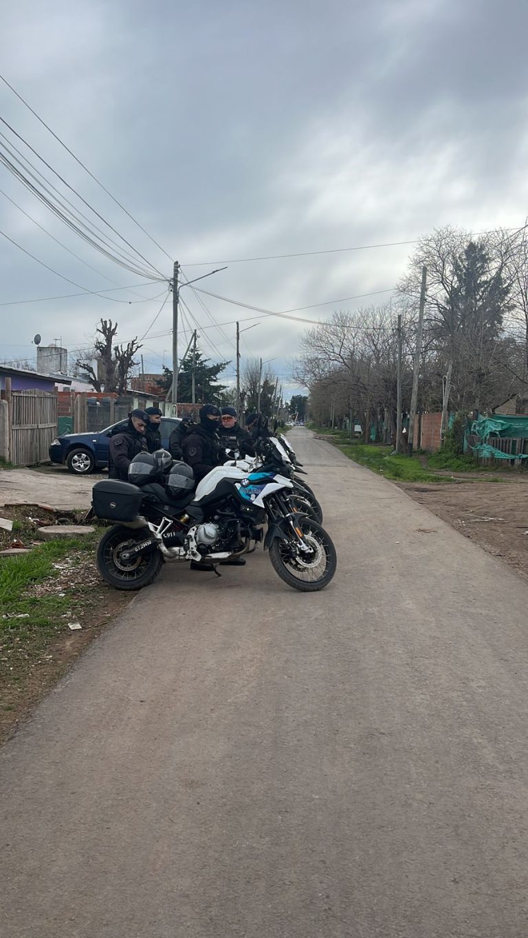 14 detenciones y 10 allanamientos por robos en Moreno sur
