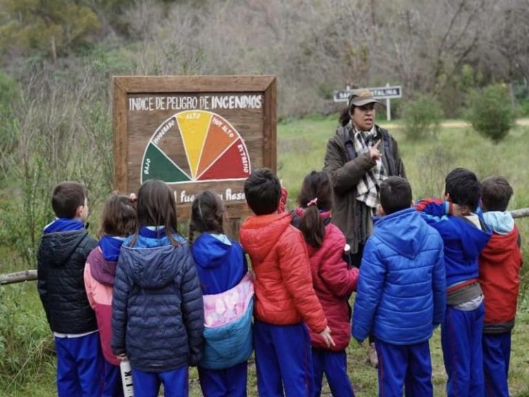 La educación ambiental comienza en las escuelas de Lomas