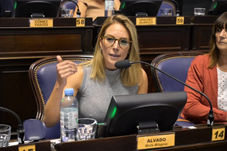 Presentan en la Cámara de Diputados bonaerense un proyecto de ley contra el negacionismo
