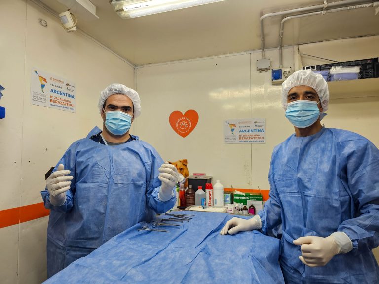 Berazategui se sumó a jornada de castración animal en Latinoamérica